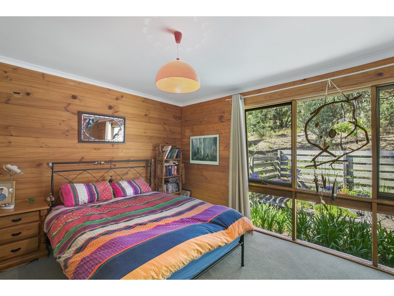 20 Bachli Court, Anglesea VIC 3230