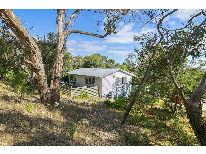 20 Bachli Court, Anglesea VIC 3230