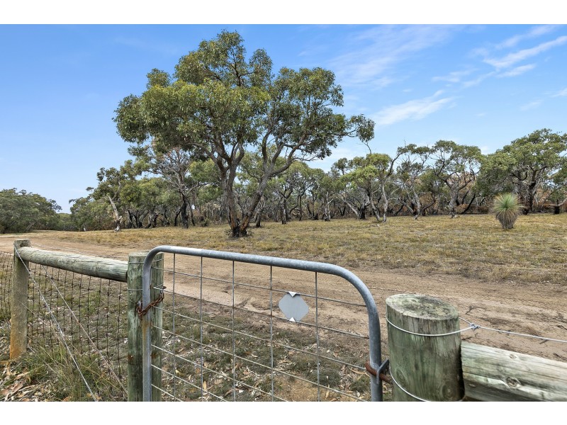 98 Harvey Street, Anglesea VIC 3230