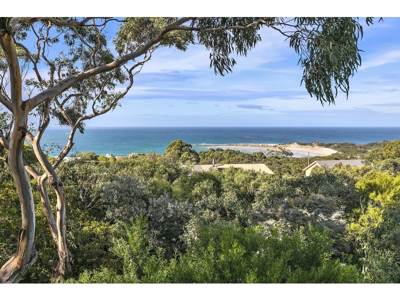 14 Fifth Avenue, Anglesea VIC 3230