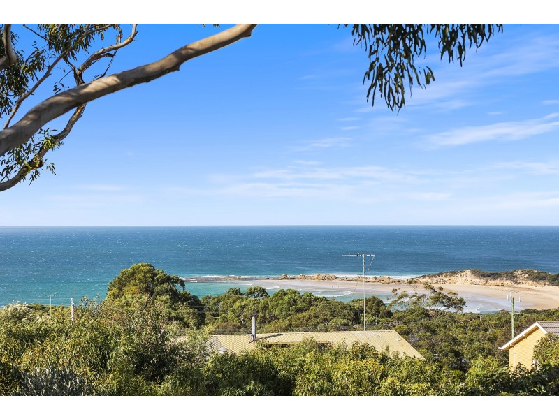 14 Fifth Avenue, Anglesea VIC 3230