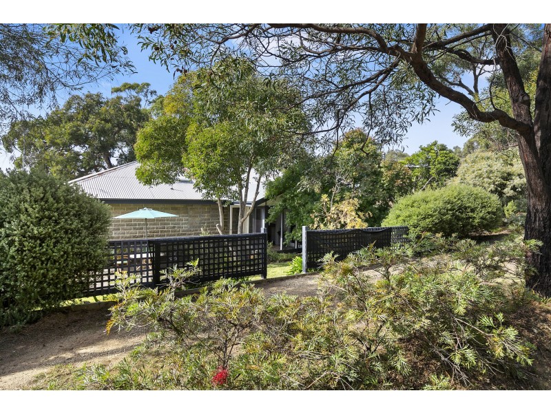16 Charles Street, Anglesea VIC 3230