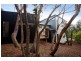 77 Harvey Street, Anglesea VIC 3230