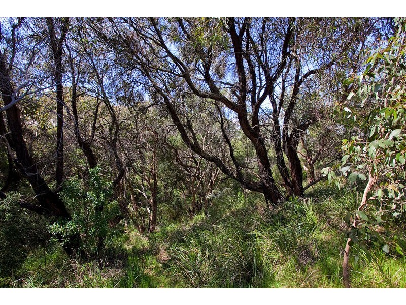 42-44 Anderson Street, Aireys Inlet VIC 3231