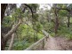 42-44 Anderson Street, Aireys Inlet VIC 3231