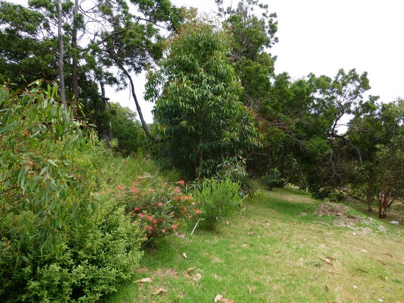 42-44 Anderson Street, Aireys Inlet VIC 3231
