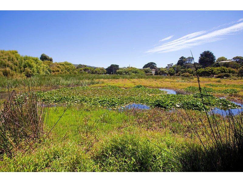 4/8  Inlet Crescent, Aireys Inlet VIC 3231