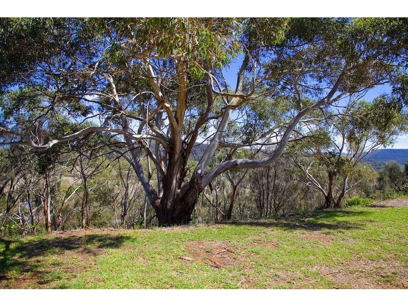 6/31-33 Pearse Road, Aireys Inlet VIC 3231