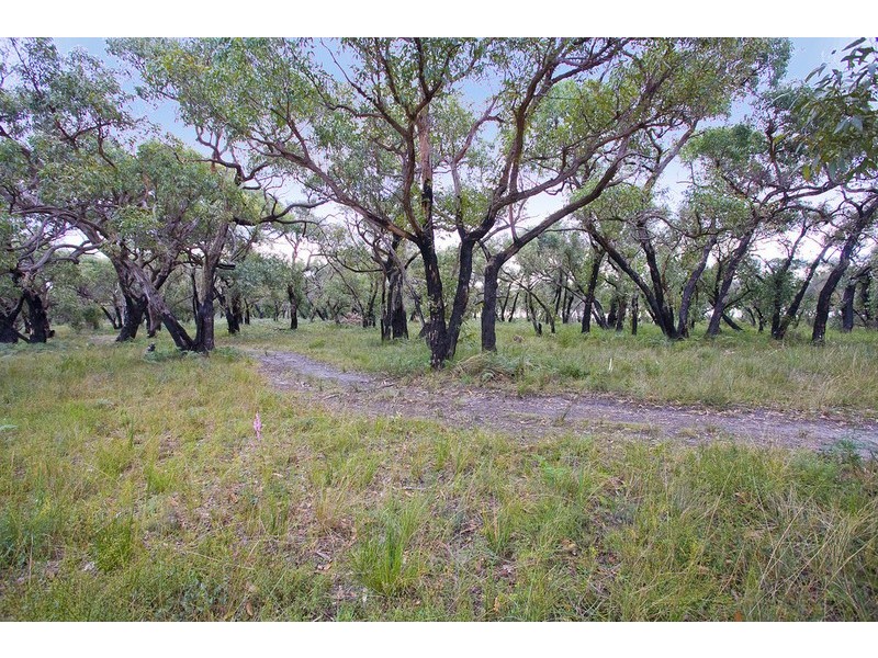 74 Fraser Avenue, Anglesea VIC 3230