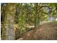380 Aire Settlement Road, Johanna VIC 3238