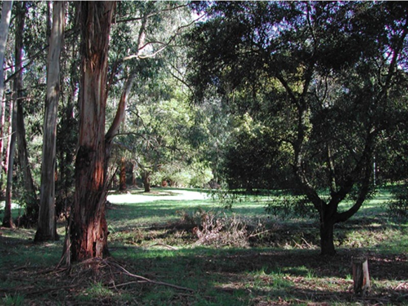 1275 Carlisle River – Gellibrand Road, Carlisle River VIC 3239