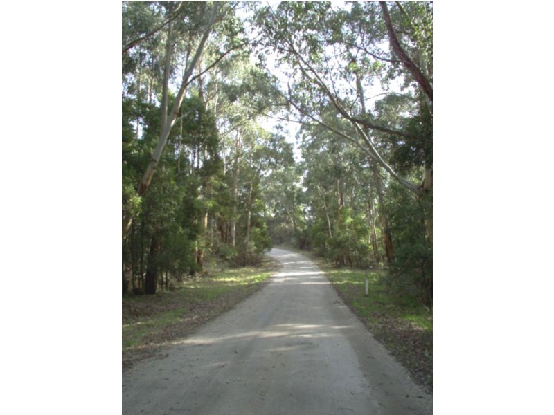 1275 Carlisle River – Gellibrand Road, Carlisle River VIC 3239