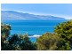 19 Harrison Street, Marengo VIC 3233