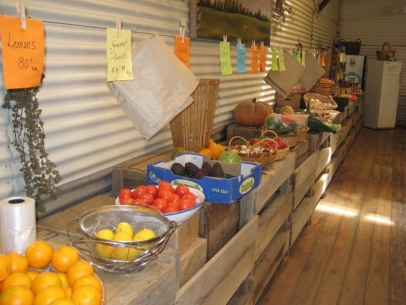 3810 Colac Lavers Hill Road, Beech Forest VIC 3237