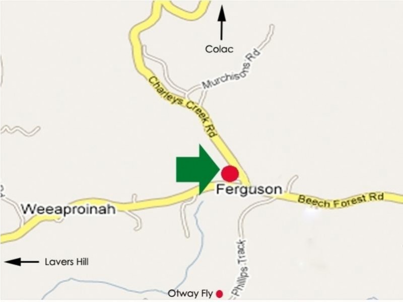 3810 Colac Lavers Hill Road, Beech Forest VIC 3237