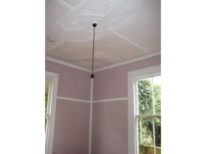 3810 Colac Lavers Hill Road, Beech Forest VIC 3237