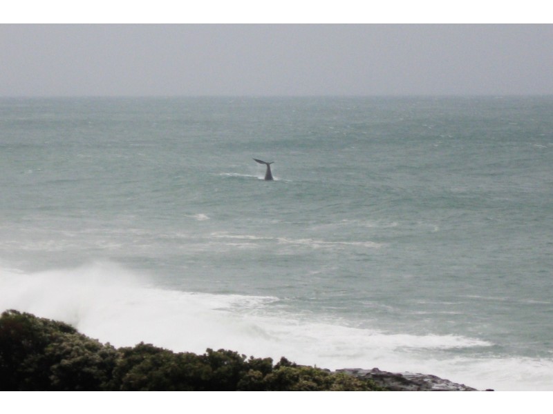 27 Great Ocean Road (Skenes Creek), Apollo Bay VIC 3233