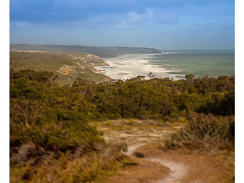 3365 Great Ocean Road, Glenaire VIC 3238
