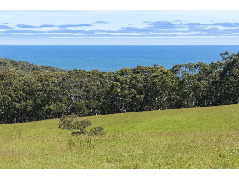 3365 Great Ocean Road, Glenaire VIC 3238