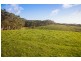 3365 Great Ocean Road, Glenaire VIC 3238