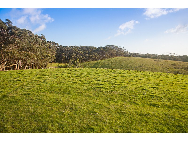 3365 Great Ocean Road, Glenaire VIC 3238