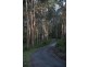 3365 Great Ocean Road, Glenaire VIC 3238