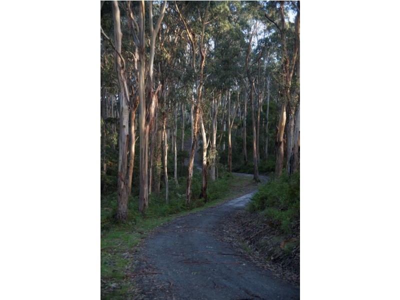 3365 Great Ocean Road, Glenaire VIC 3238
