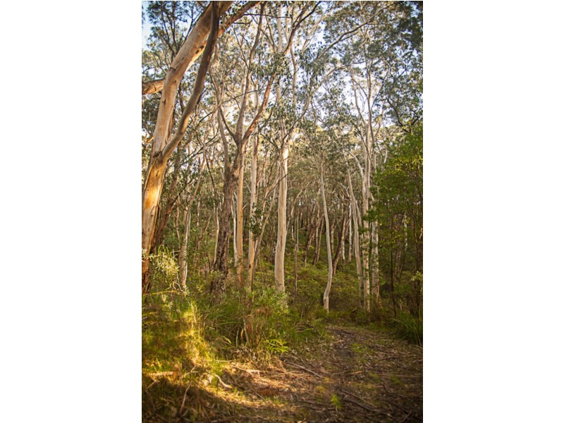 3365 Great Ocean Road, Glenaire VIC 3238