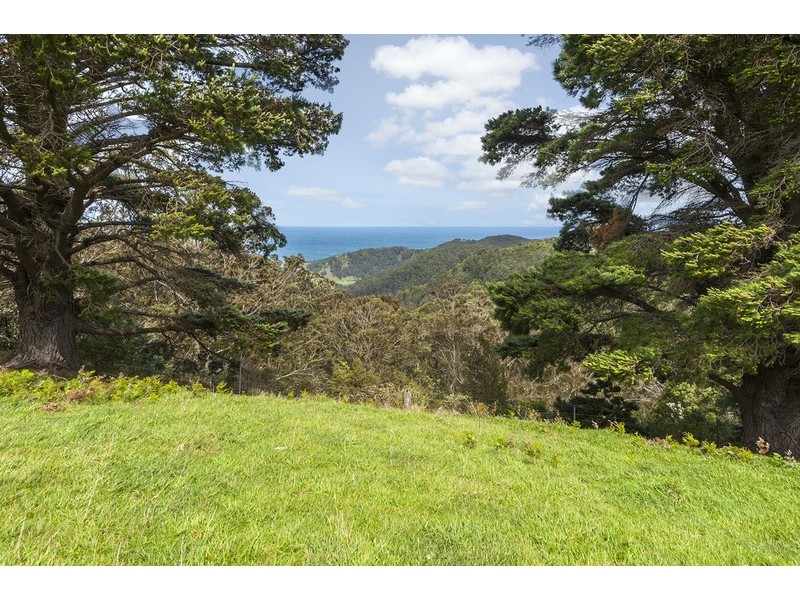 675 Skenes Creek Road, Skenes Creek VIC 3233