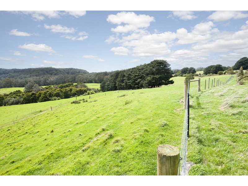 675 Skenes Creek Road, Skenes Creek VIC 3233