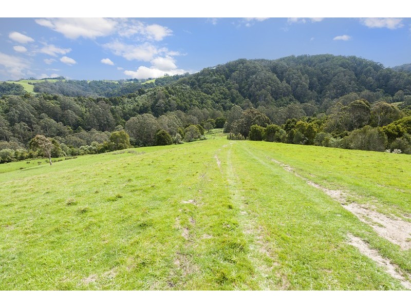 675 Skenes Creek Road, Skenes Creek VIC 3233