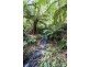 675 Skenes Creek Road, Skenes Creek VIC 3233
