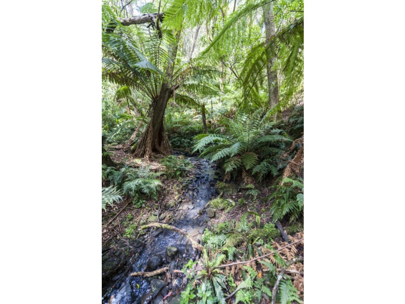 675 Skenes Creek Road, Skenes Creek VIC 3233