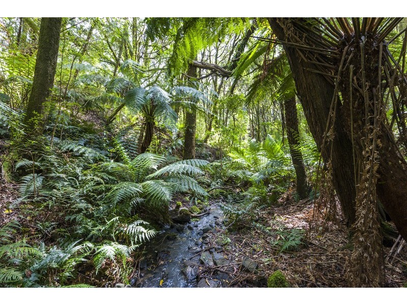 675 Skenes Creek Road, Skenes Creek VIC 3233