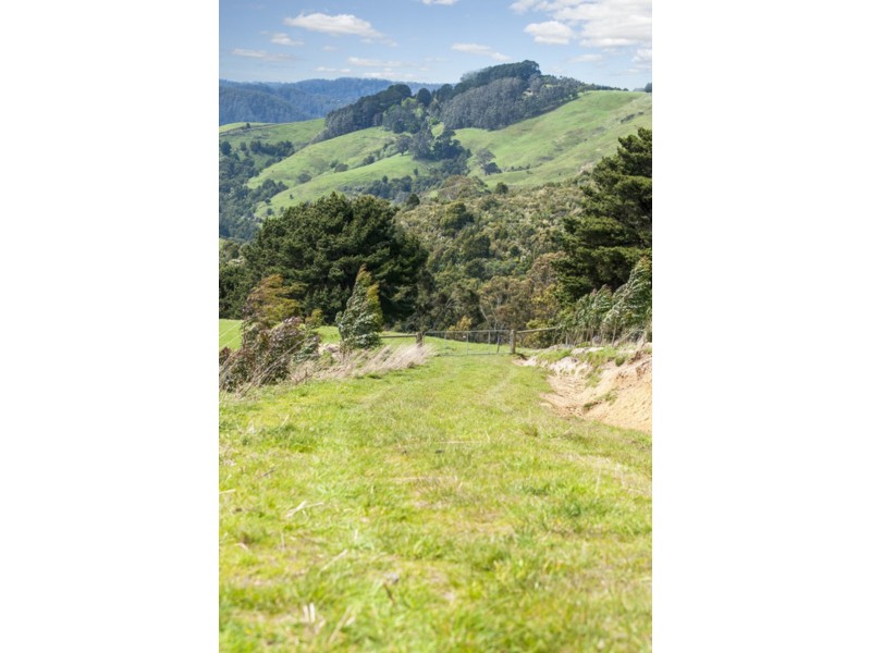 675 Skenes Creek Road, Skenes Creek VIC 3233