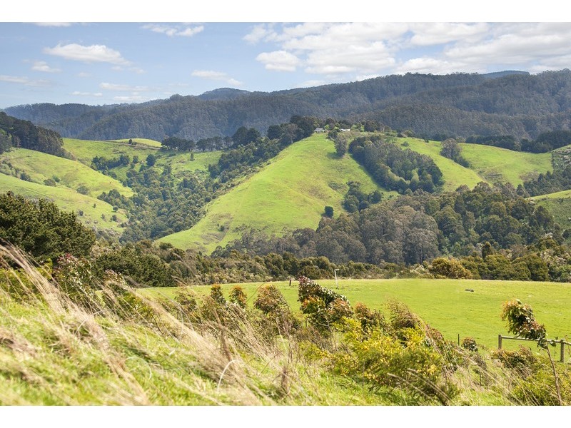 675 Skenes Creek Road, Skenes Creek VIC 3233