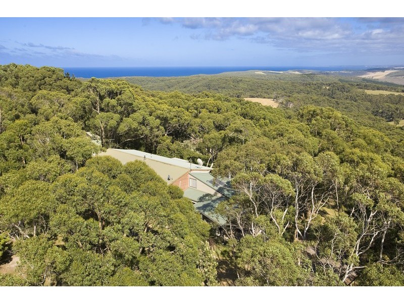 50 Parkers Access Road, Apollo Bay VIC 3233