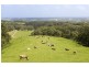 50 Parkers Access Road, Apollo Bay VIC 3233