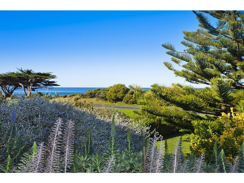 243 Great Ocean Road, Apollo Bay VIC 3233