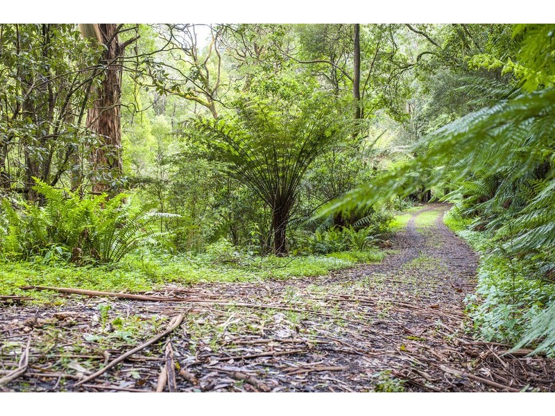 1060 Barham River Road, Apollo Bay VIC 3233