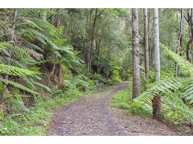 1060 Barham River Road, Apollo Bay VIC 3233