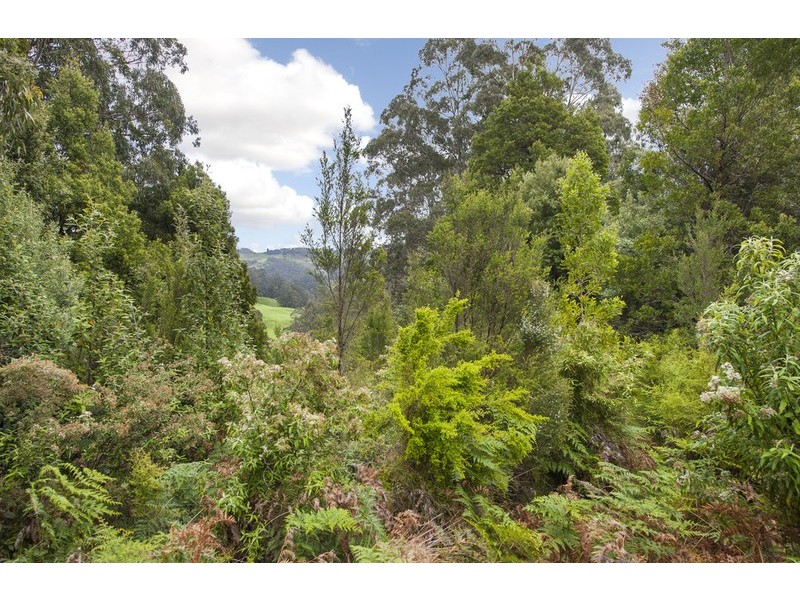 1060 Barham River Road, Apollo Bay VIC 3233