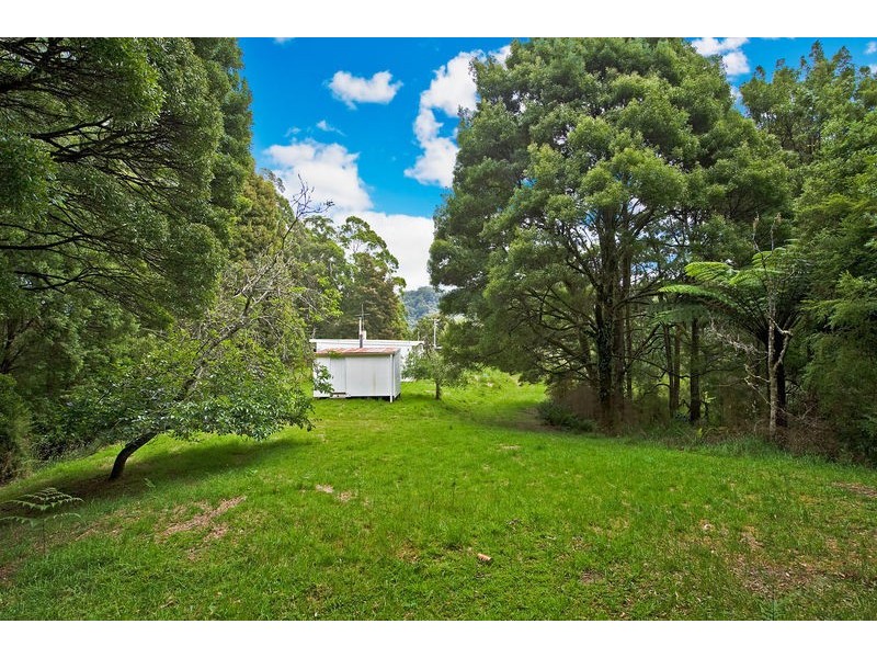 1060 Barham River Road, Apollo Bay VIC 3233