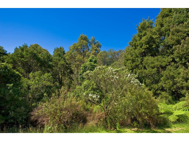 1060 Barham River Road, Apollo Bay VIC 3233