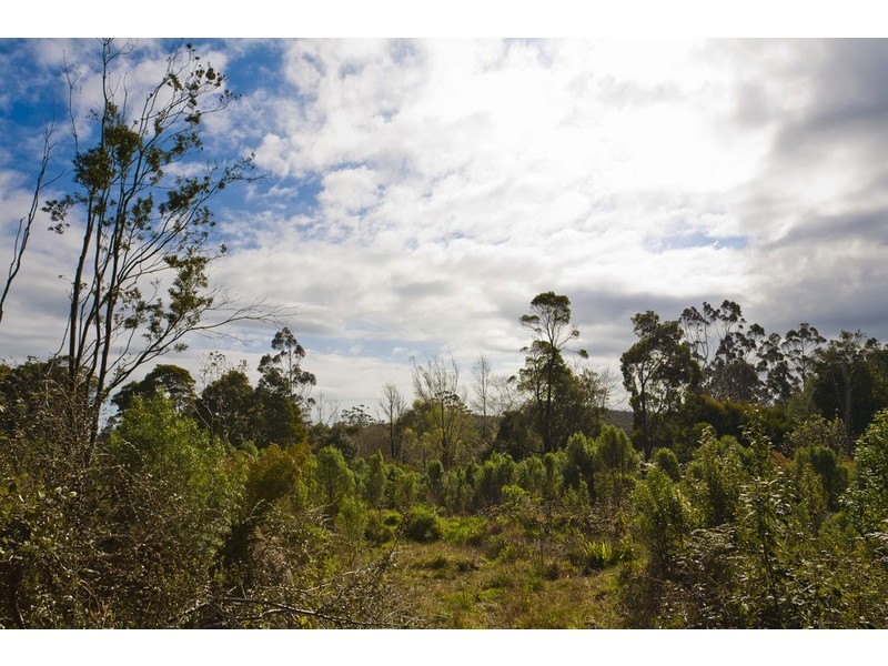 4595 Great Ocean Road, Lavers Hill VIC 3238