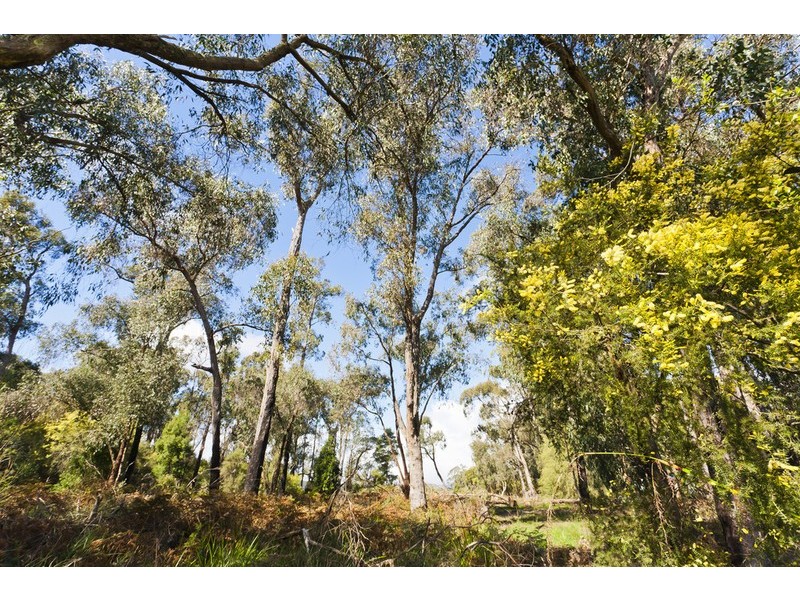 305 Sandpit Road, Chapple Vale VIC 3239