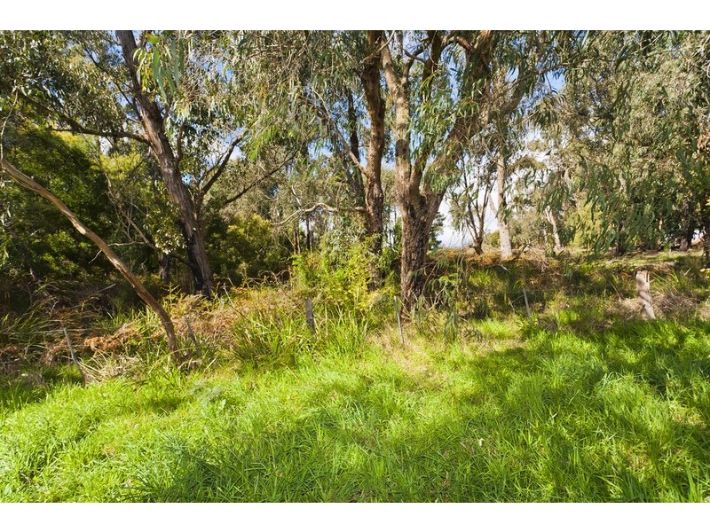 305 Sandpit Road, Chapple Vale VIC 3239