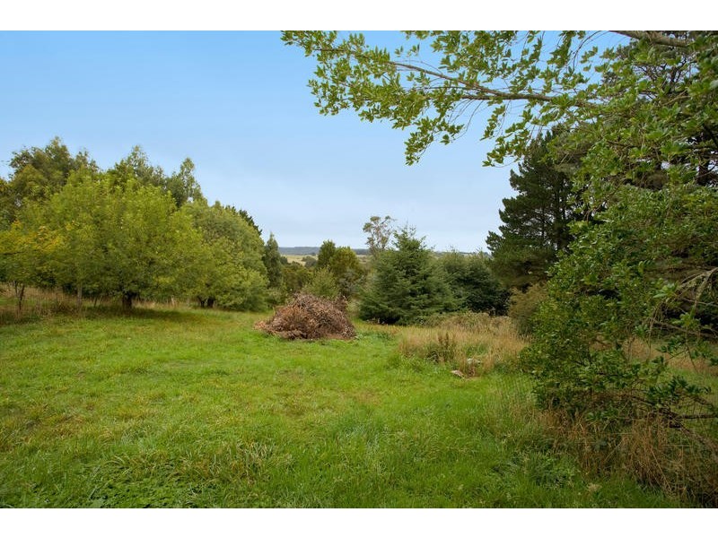 58 Main Road, Beech Forest VIC 3237