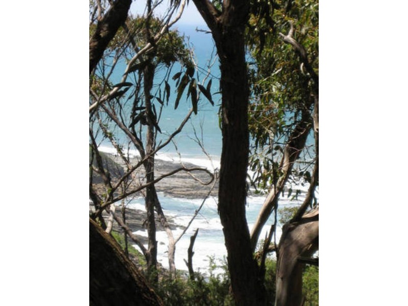 Lot 1 Leorkes Access, Wongarra VIC 3221