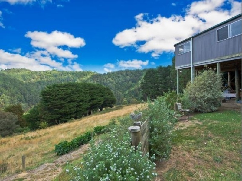 500 Wild Dog Road, Apollo Bay VIC 3233